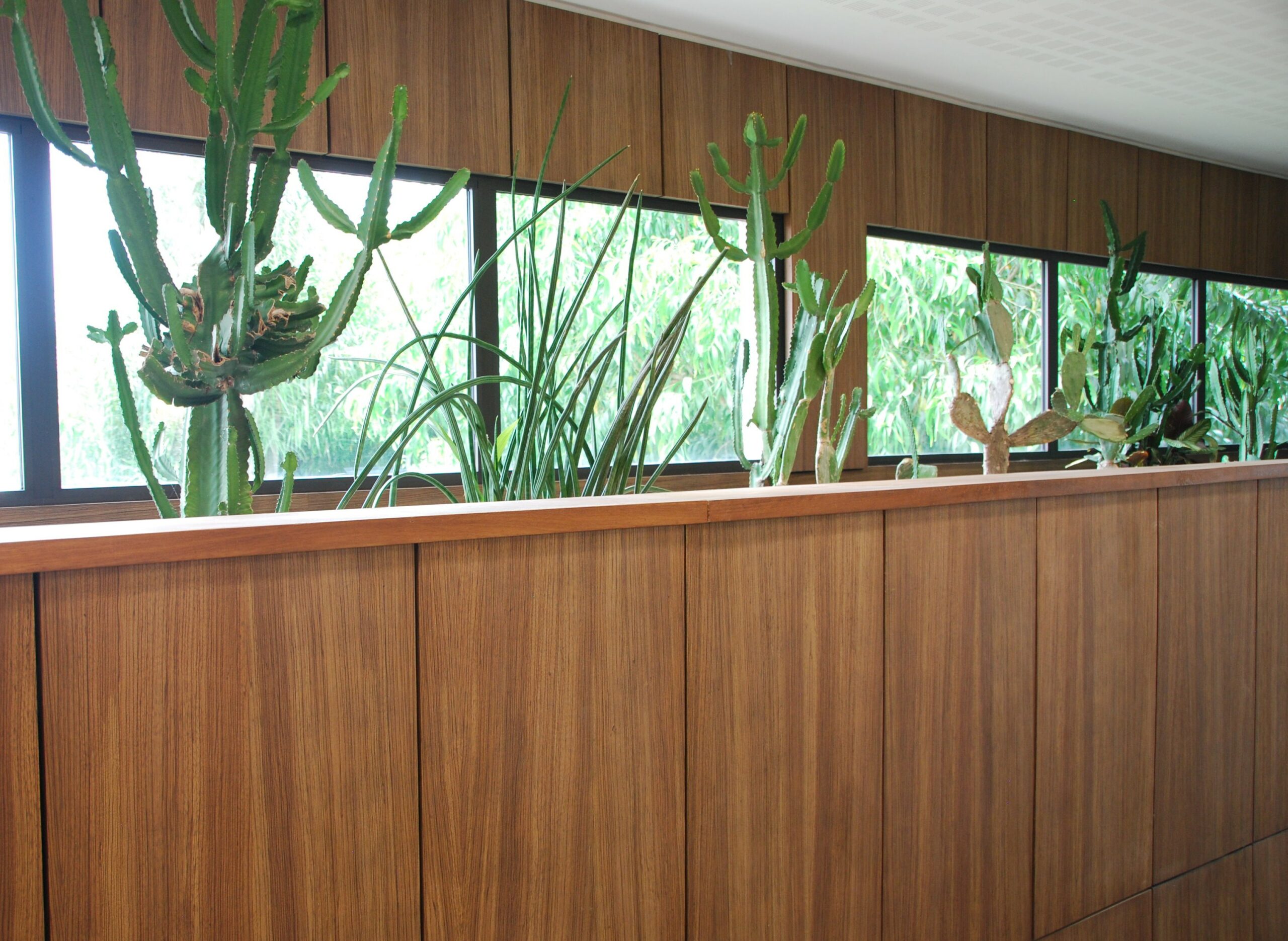 Écrin végétal - Upper Garden de l'aéroport international de Libreville, associant une composition végétale sobre en eau. Habillage mural vertical en placage de bois Zébrano.
