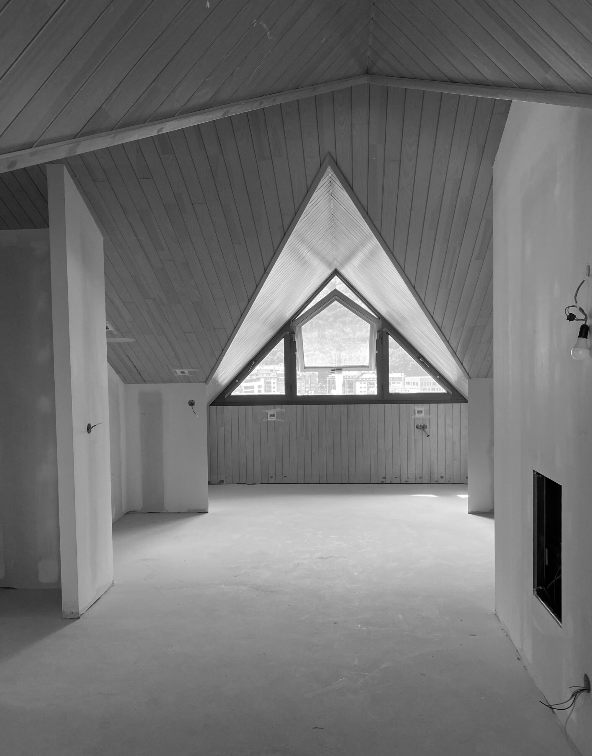Vue intérieure en noir et blanc d'un chien-assis dans une penthouse en rénovation.